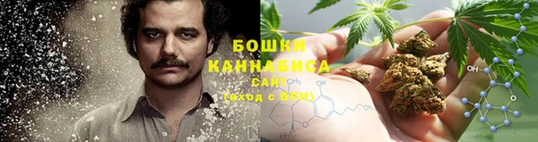 гидропоника Алзамай