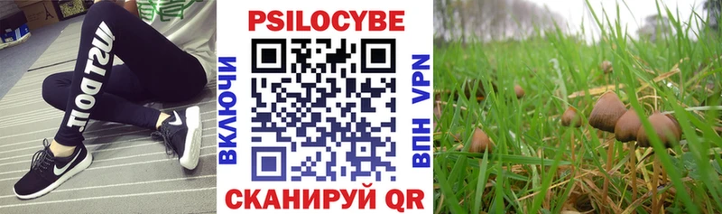 кракен как зайти  Динская  Псилоцибиновые грибы ЛСД 
